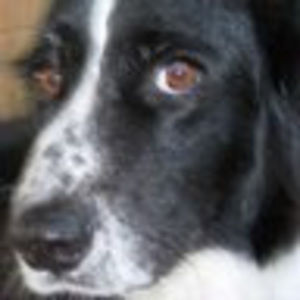 Meet your Posher, Mlove5able